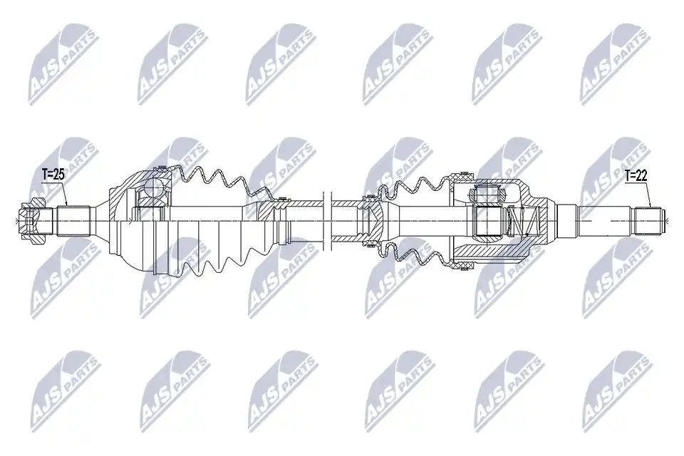 NTY NPW-CT-113