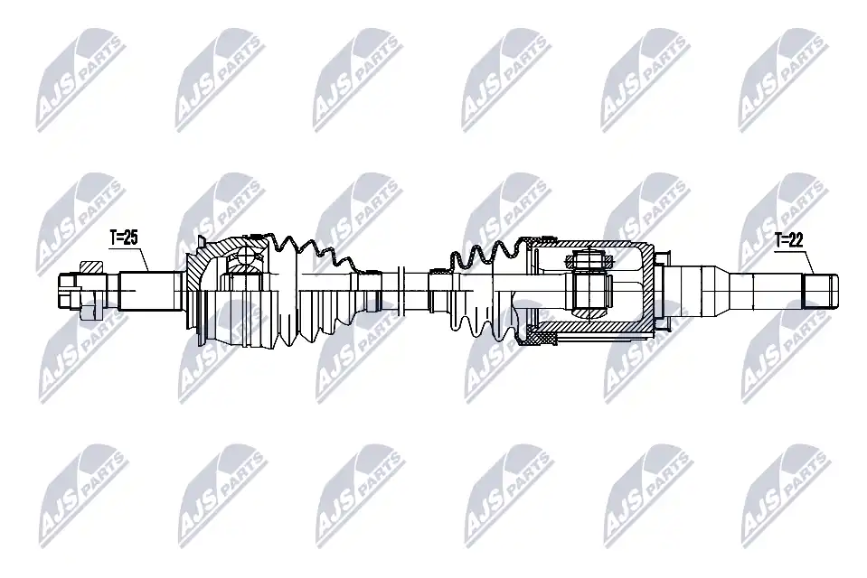 NTY NPW-DW-055