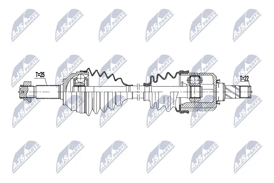 NTY NPW-DW-067