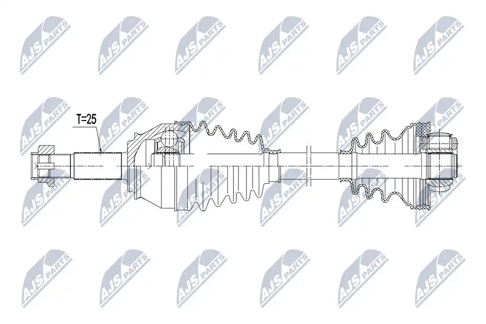 NTY NPW-FT-023