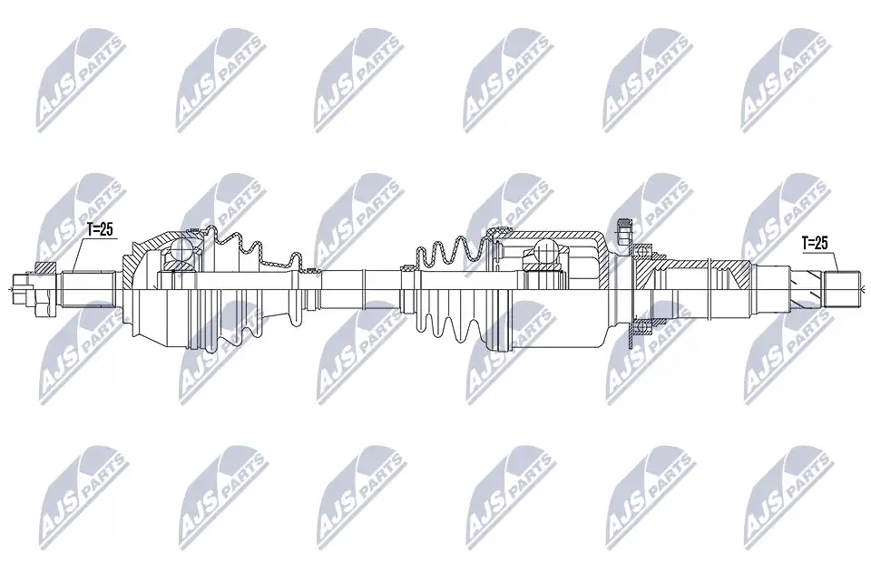 NTY NPW-FT-067