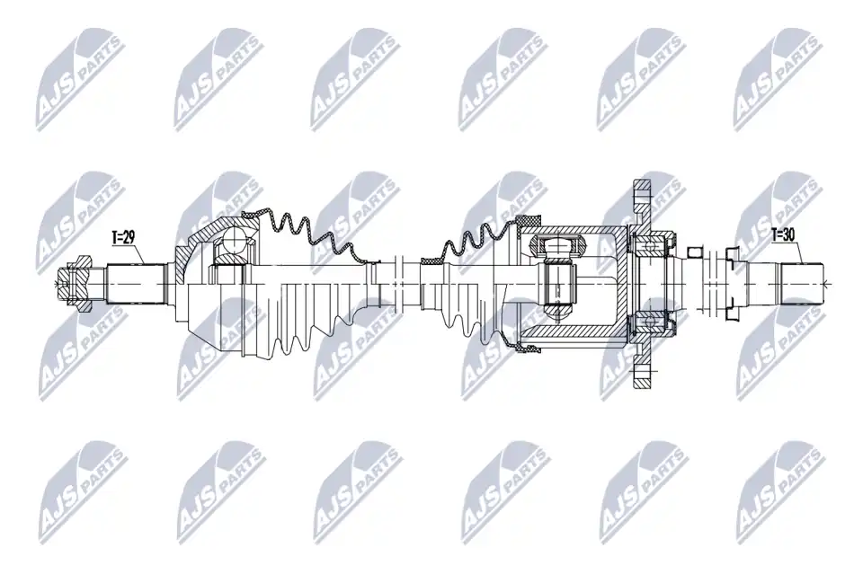 NTY NPW-NS-163