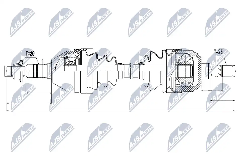 NTY NPW-PL-031