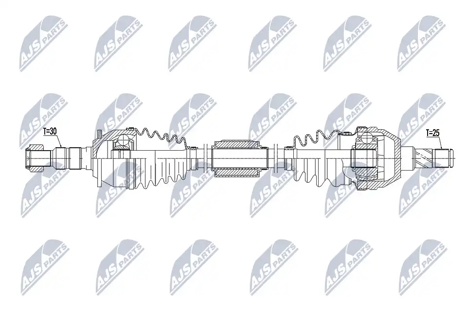 NTY NPW-PL-071