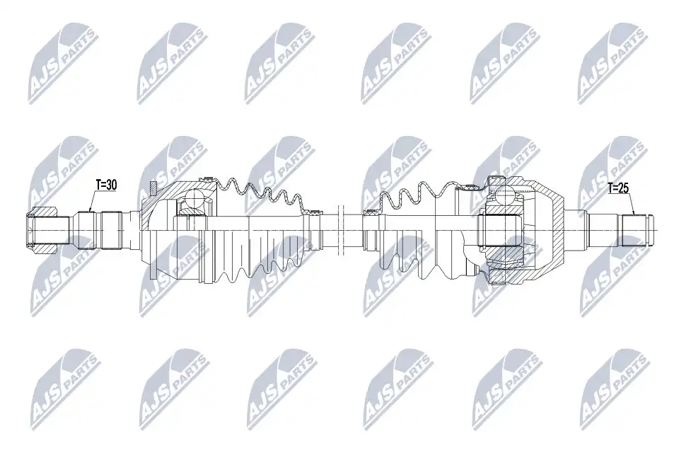 NTY NPW-PL-075