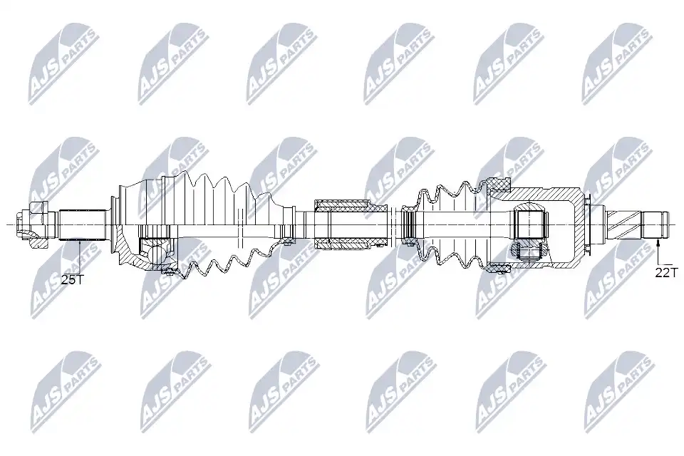 NTY NPW-PL-095