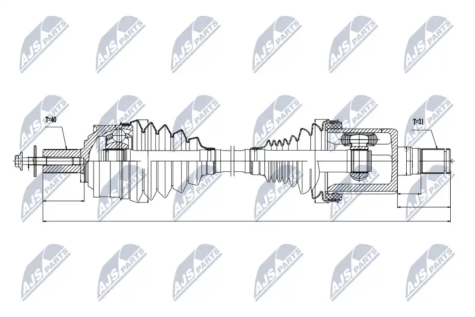 NTY NPW-VV-021