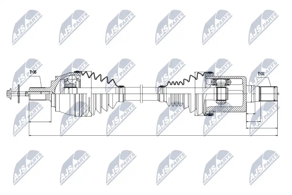 NTY NPW-VV-031