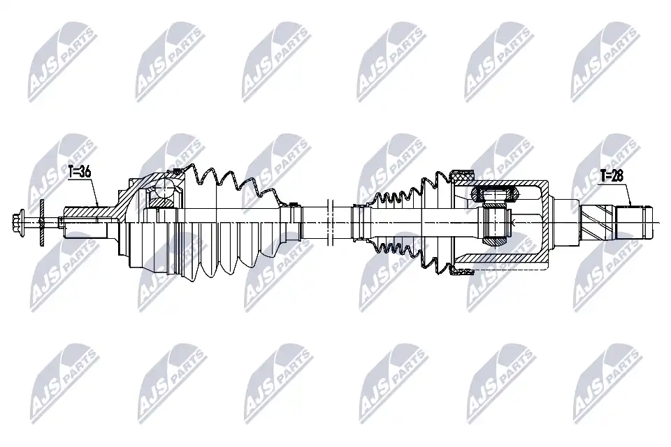 NTY NPW-VV-170