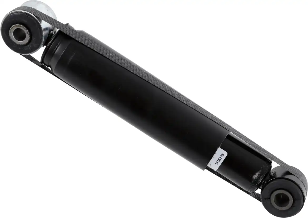 SACHS 313 482