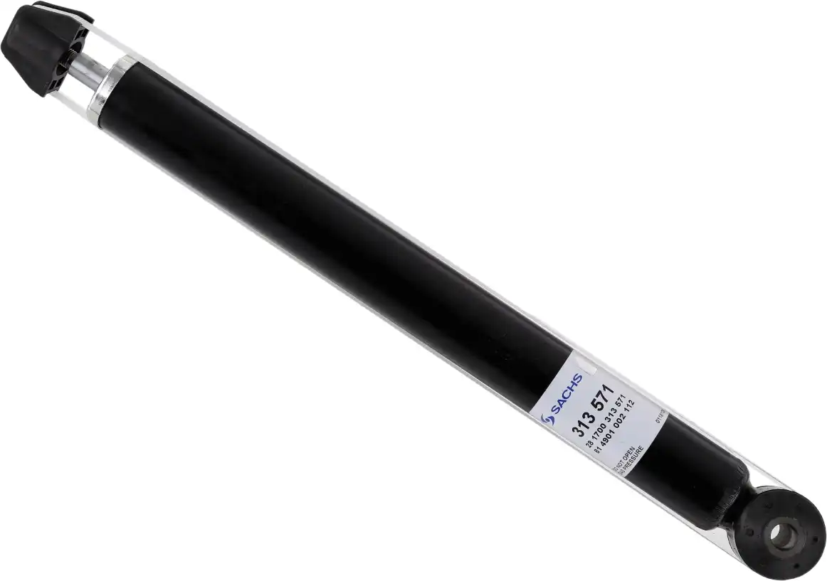 SACHS 313 571