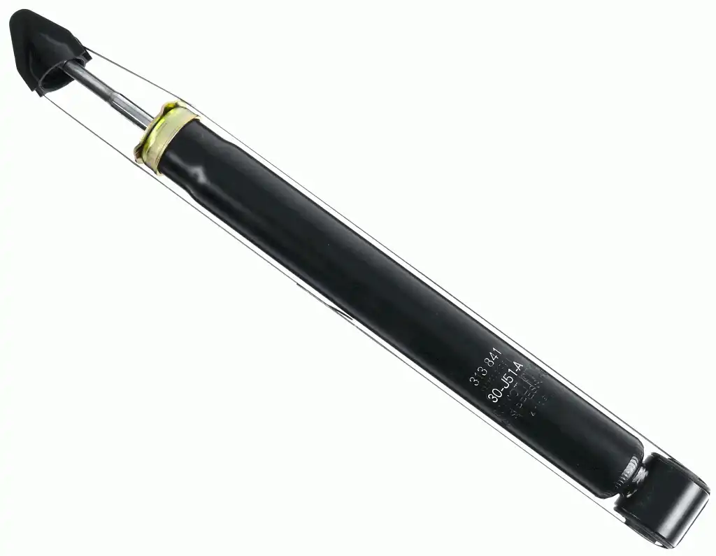 SACHS 313 841