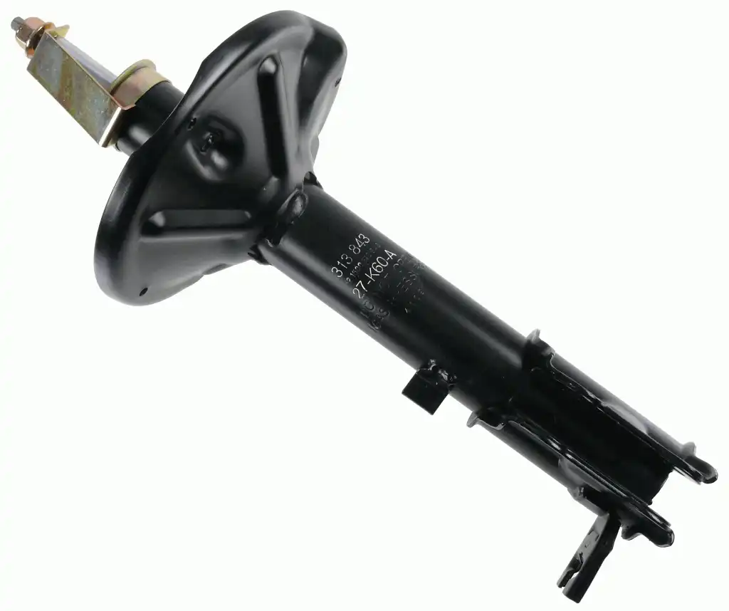 SACHS 313 843