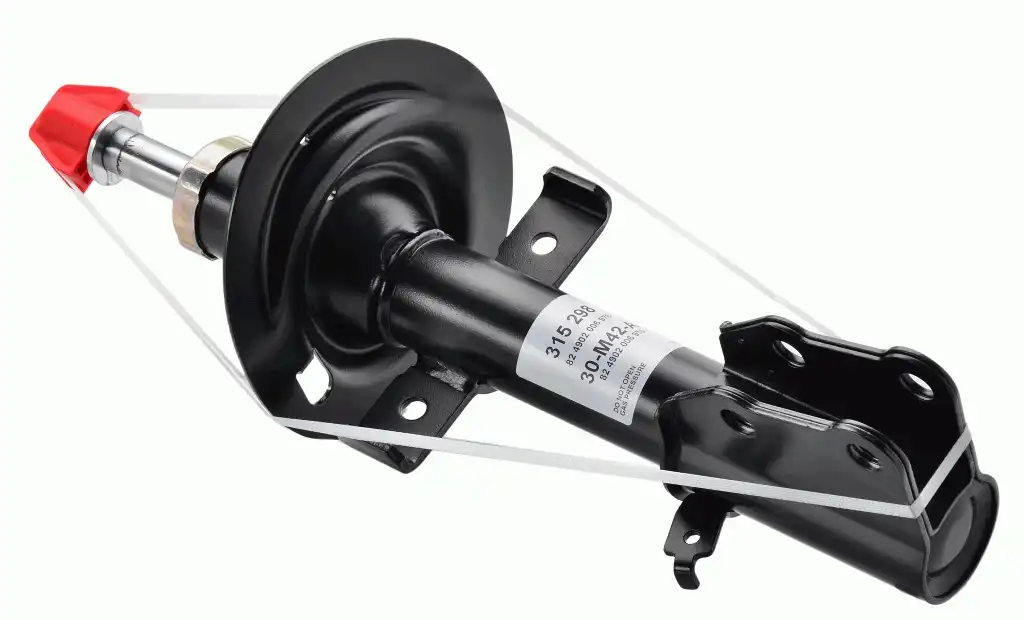 SACHS 315 298