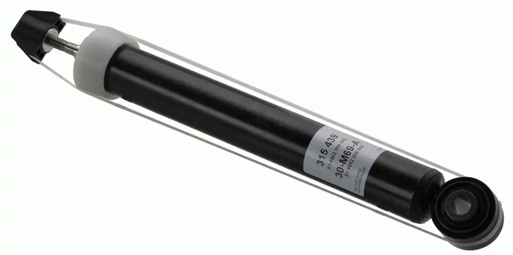 SACHS 315 439