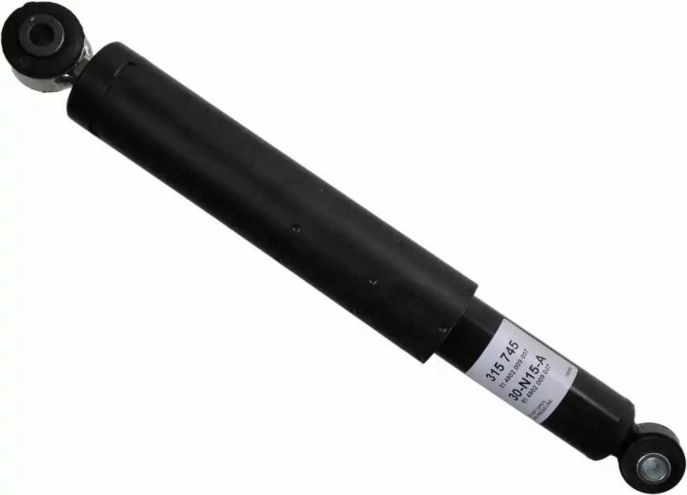 SACHS 315 745