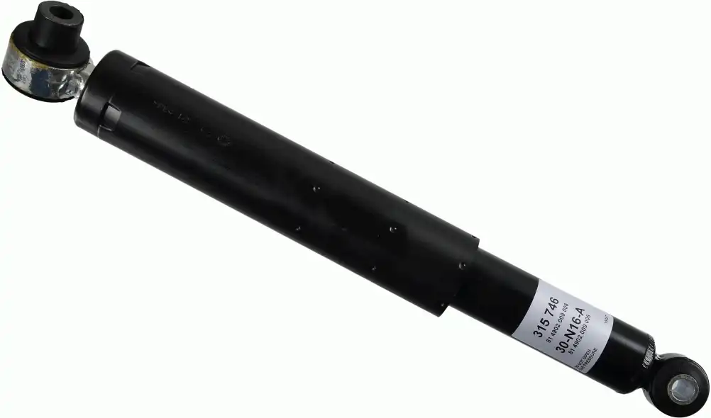 SACHS 315 746