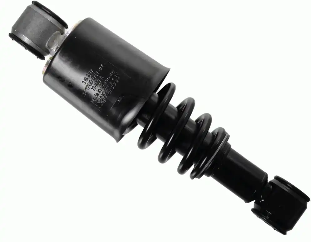 SACHS 316 697