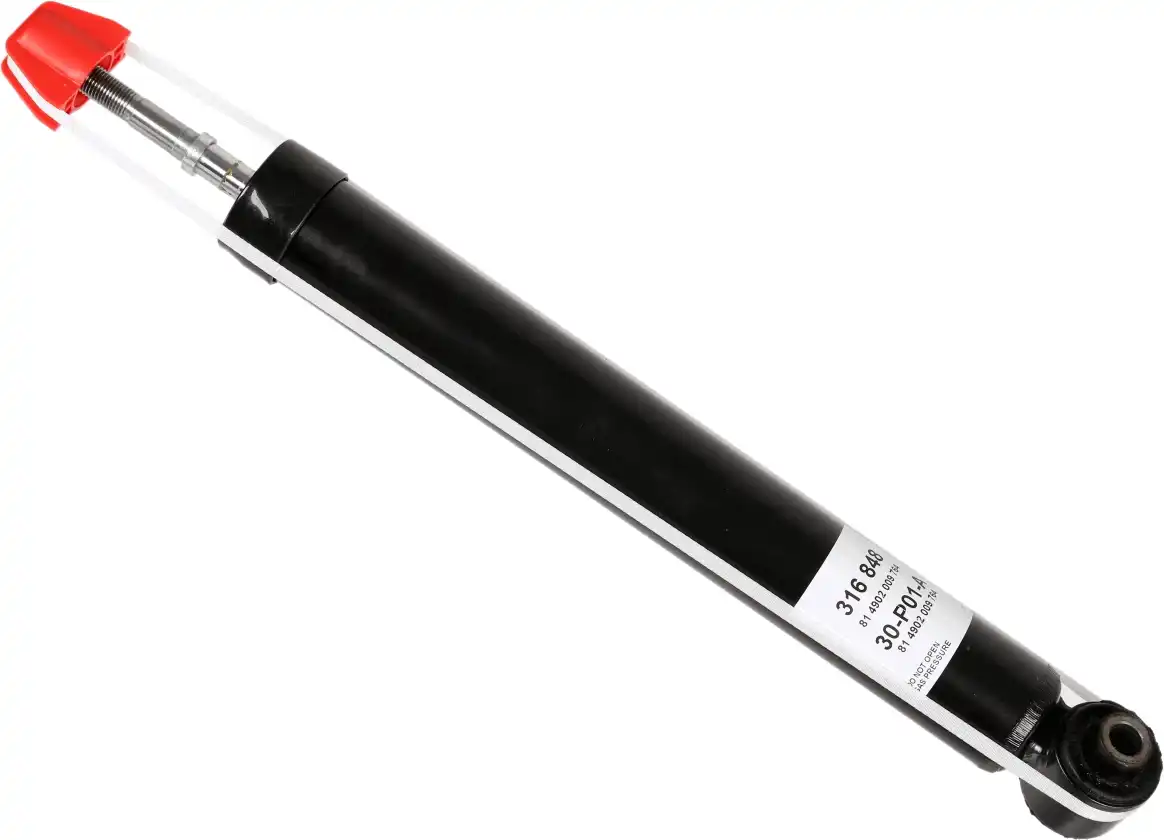 SACHS 316 848