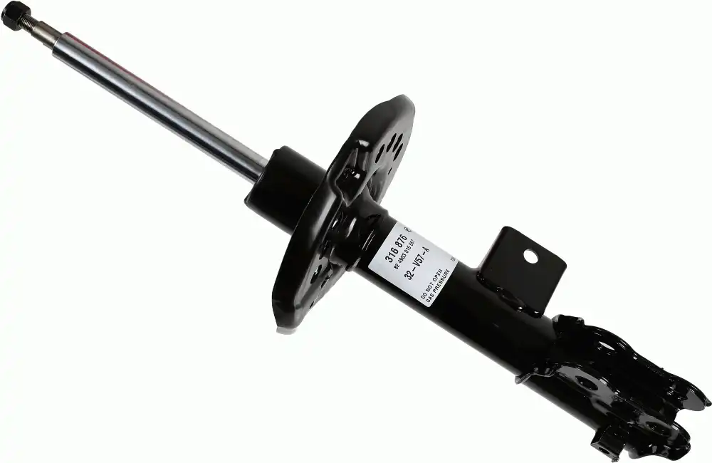 SACHS 316 876