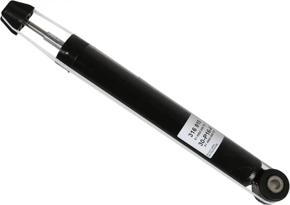 SACHS 316 910