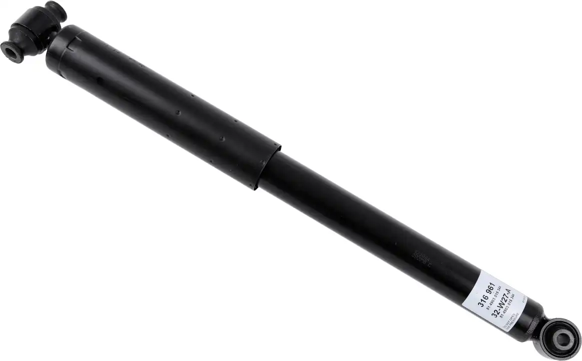 SACHS 316 961