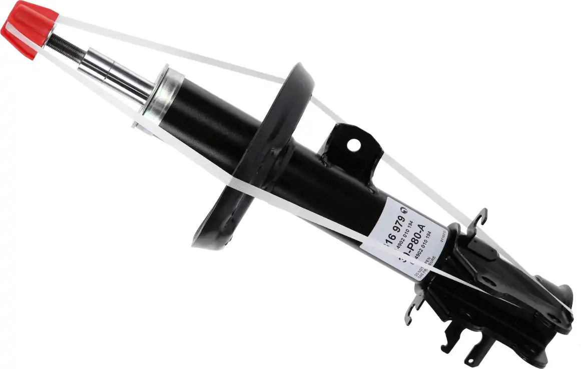 SACHS 316 979