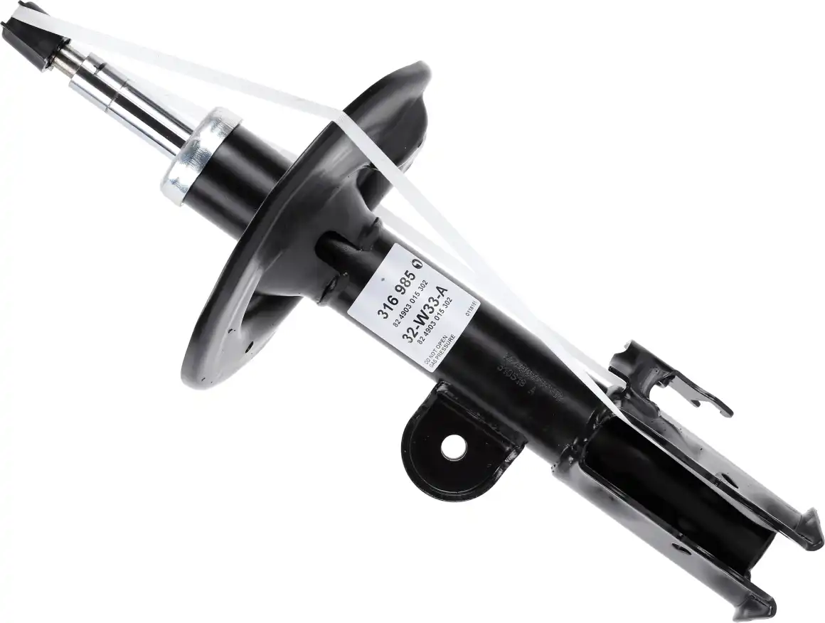 SACHS 316 985