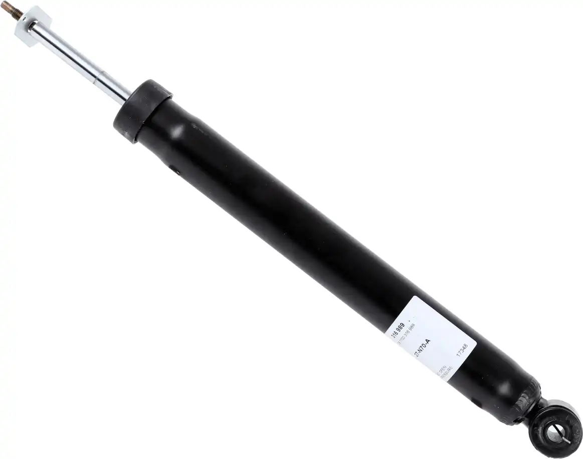 SACHS 316 989