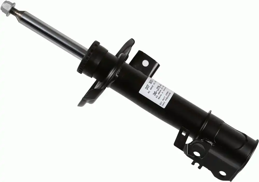 SACHS 317 300