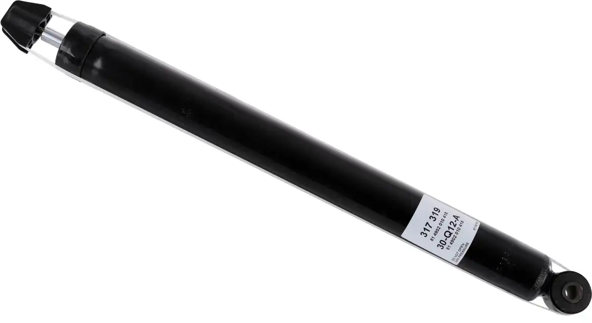 SACHS 317 319