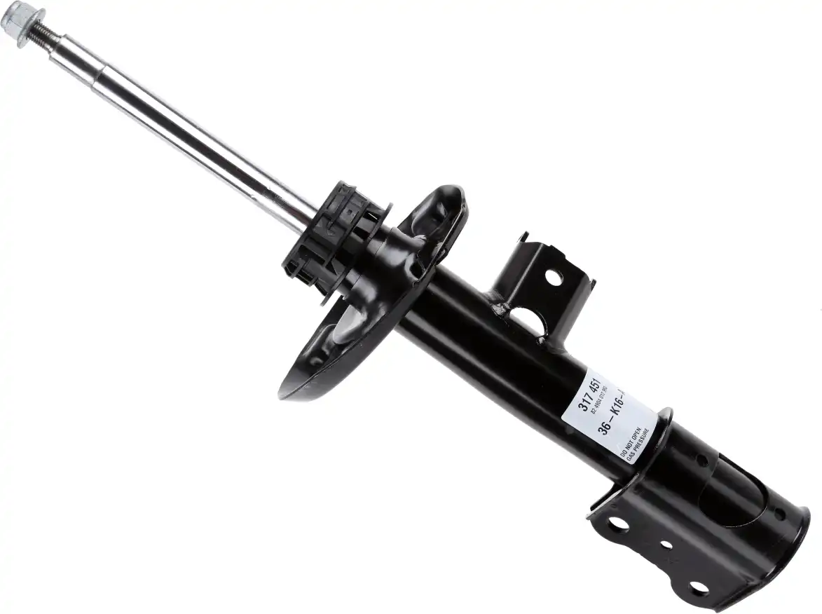 SACHS 317 451