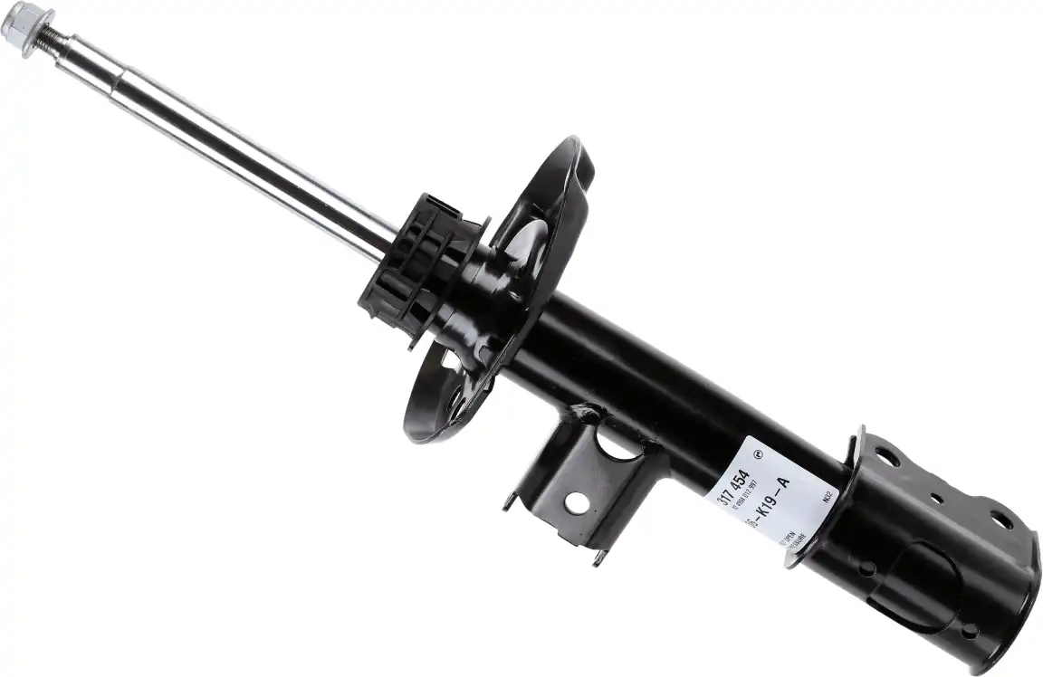 SACHS 317 454