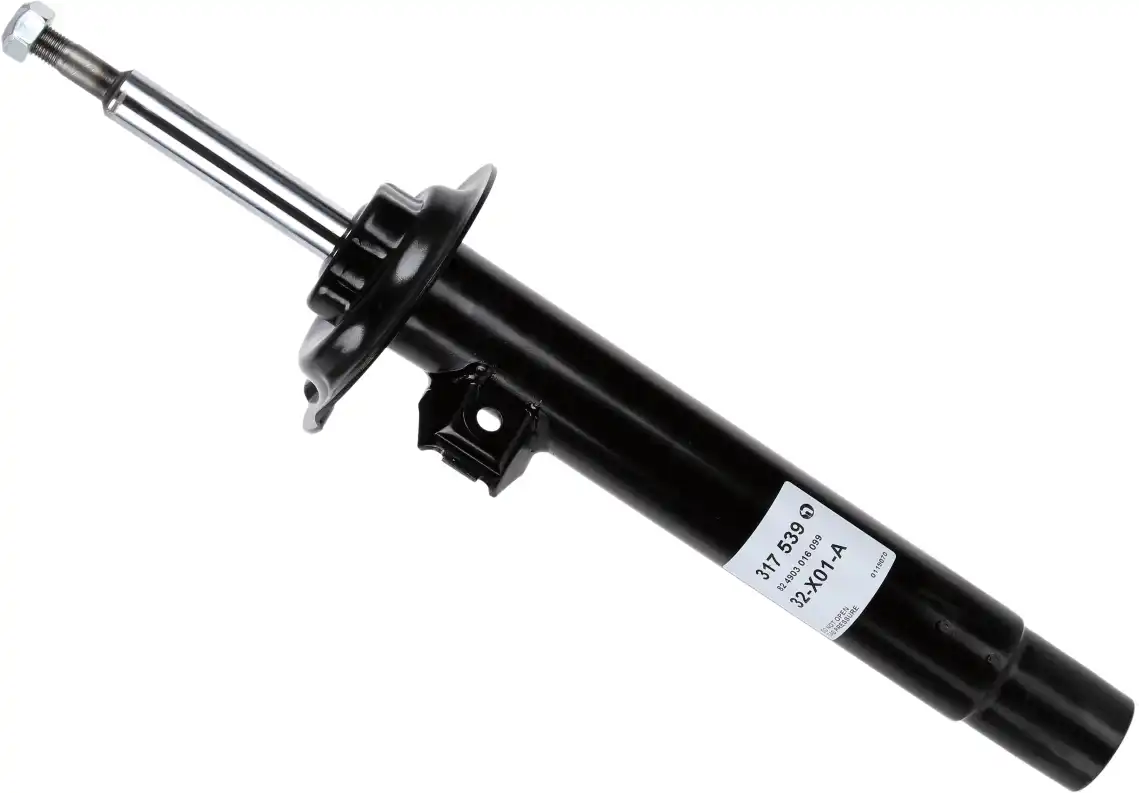 SACHS 317 539