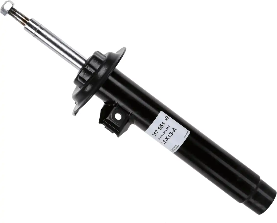 SACHS 317 551