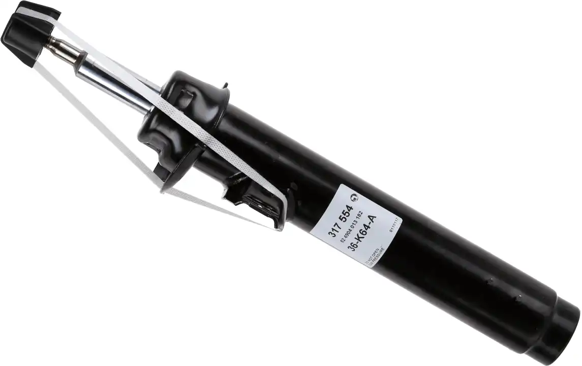 SACHS 317 554