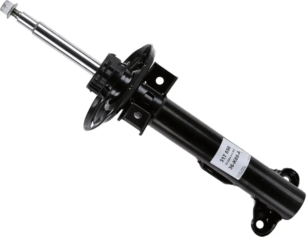 SACHS 317 556