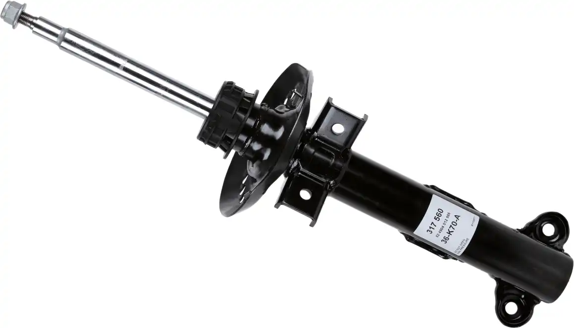 SACHS 317 560