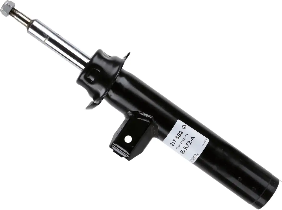 SACHS 317 562