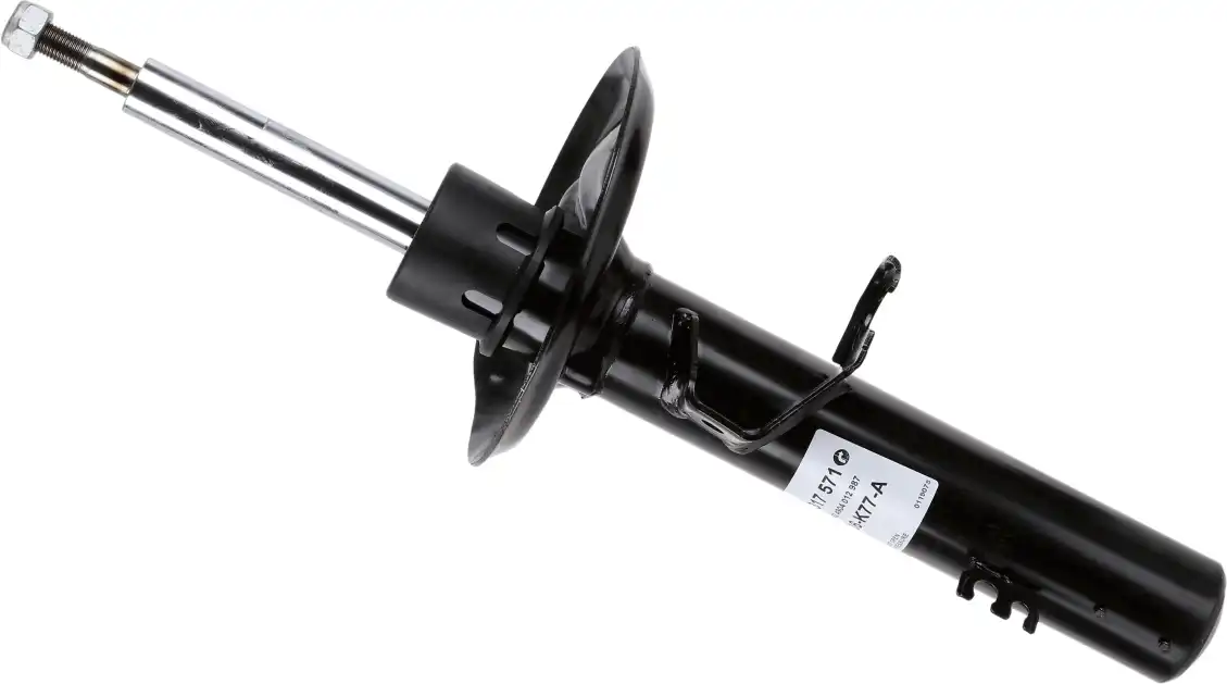 SACHS 317 571