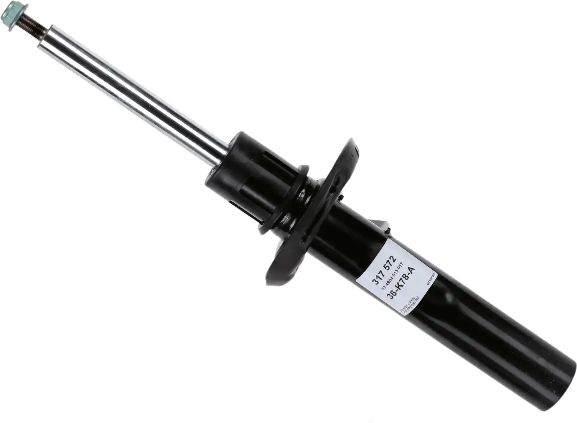 SACHS 317 572