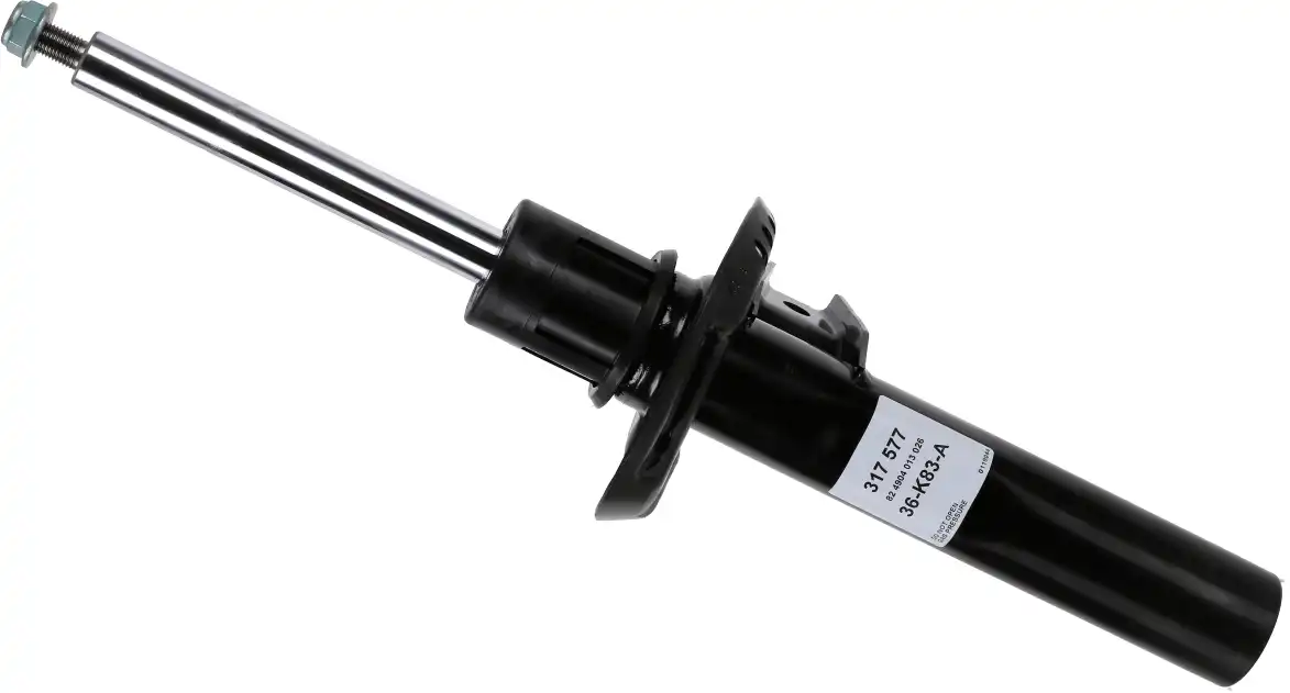 SACHS 317 577