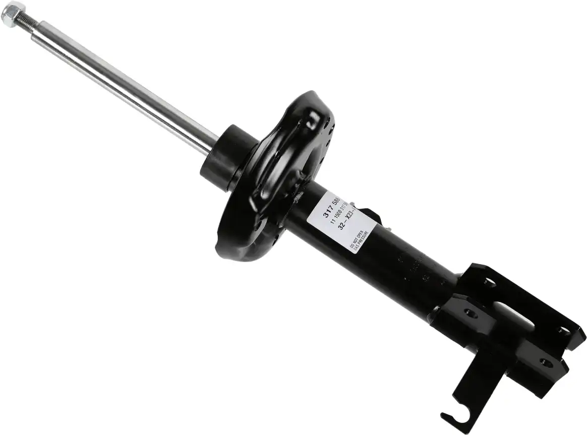 SACHS 317 586