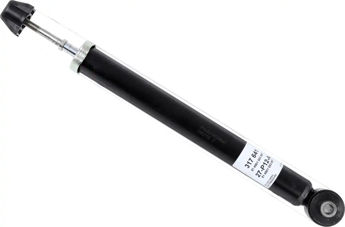 SACHS 317 641