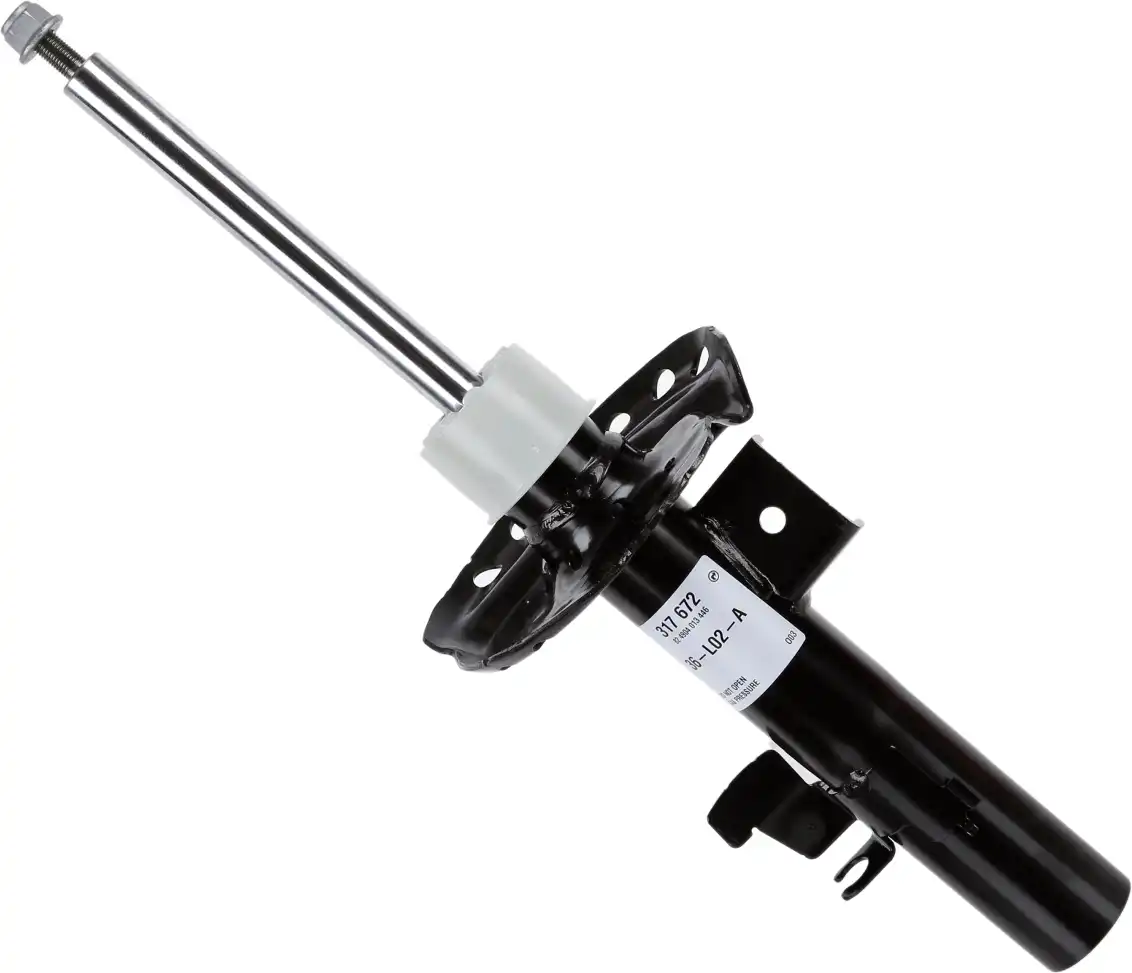 SACHS 317 672
