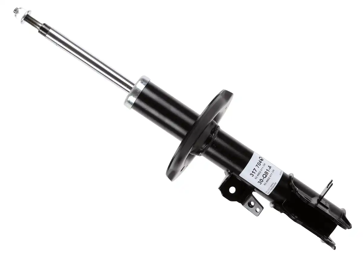 SACHS 317 704