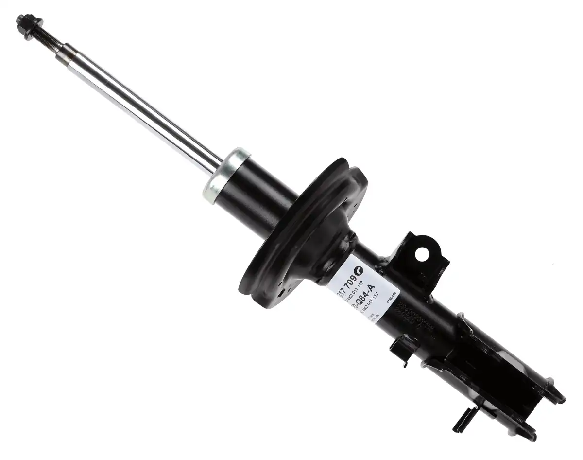SACHS 317 709
