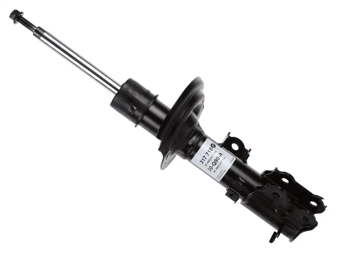 SACHS 317 718