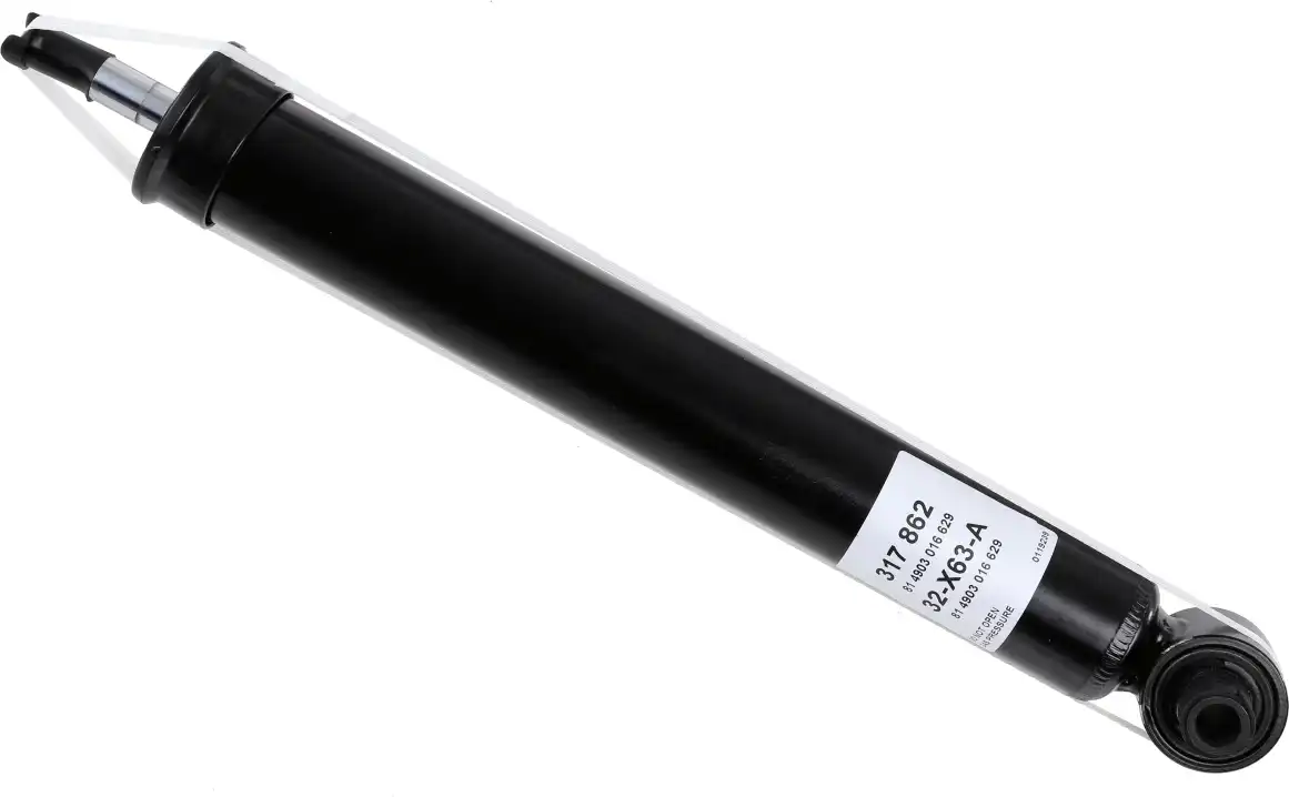 SACHS 317 862