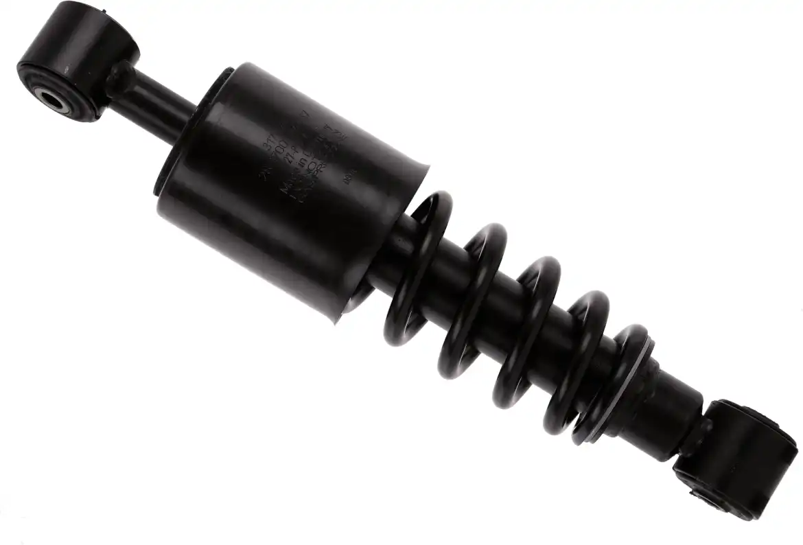 SACHS 317 926